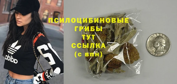 дмт Киреевск