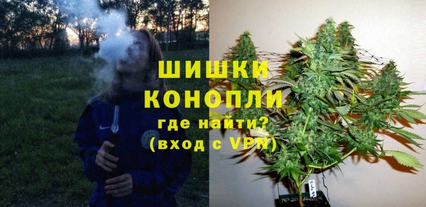дмт Киреевск