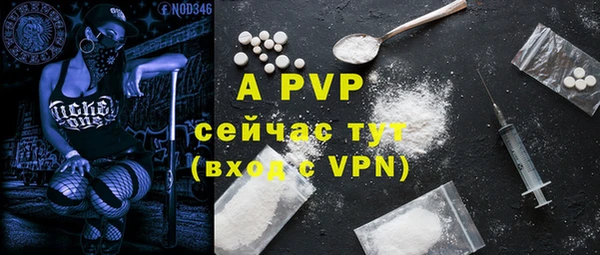 дмт Киреевск