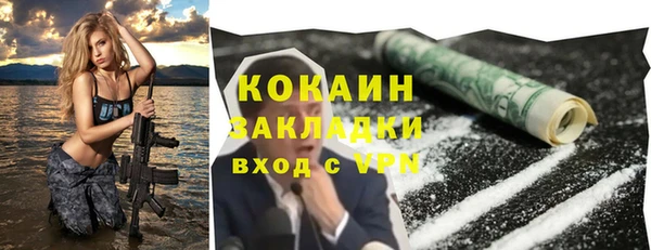 дмт Киреевск